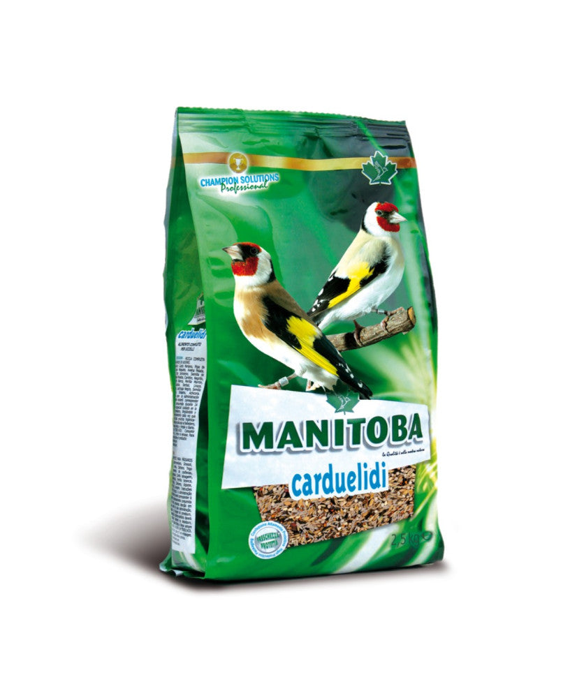 Manitoba Carduelidi - distelvinken light