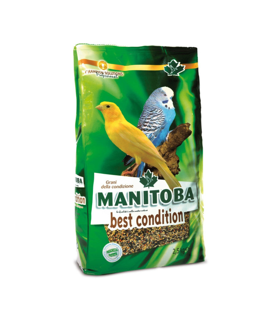 Manitoba Conditiezaad 2.5 kg