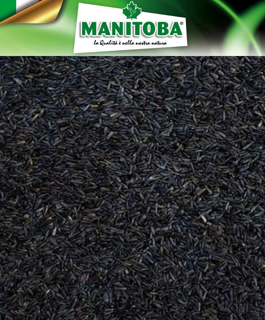 Niger zaad 1kg - Manitoba