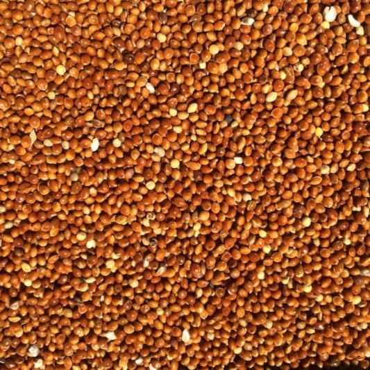Millet Rood