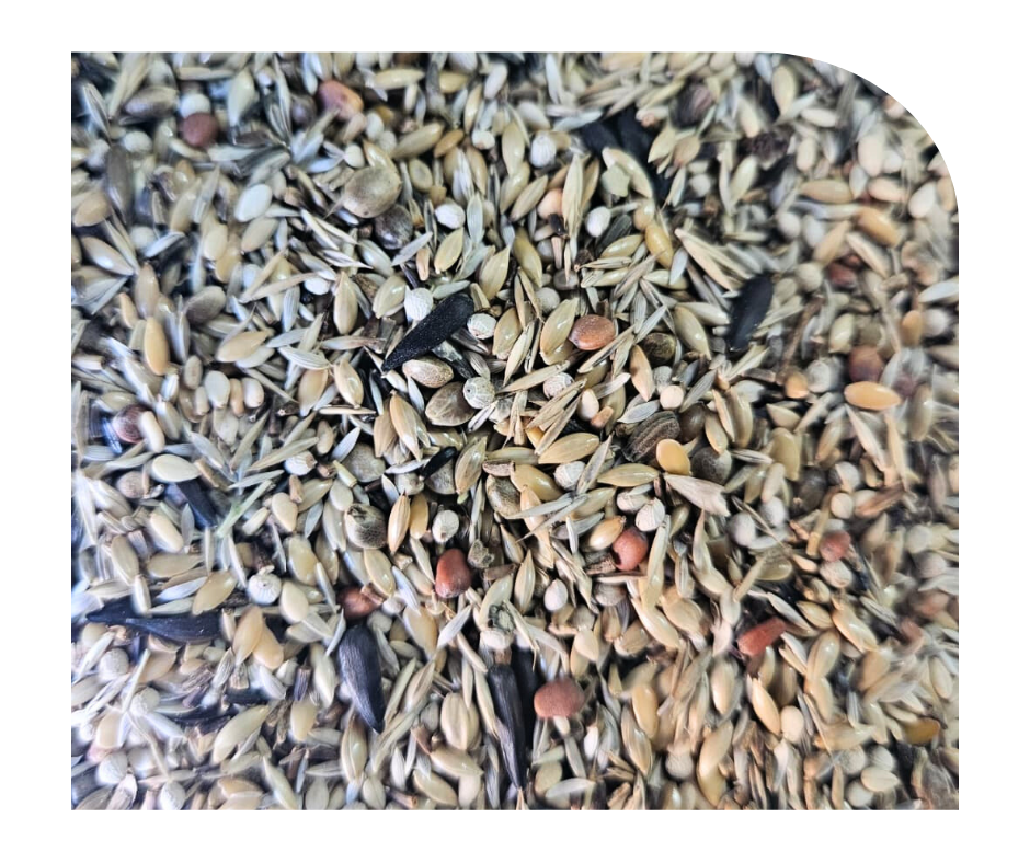 Ornizin MIX MISTER CARDUELIS EXCELLENT 4 kg