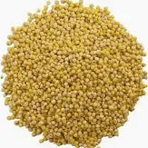 Millet Wit