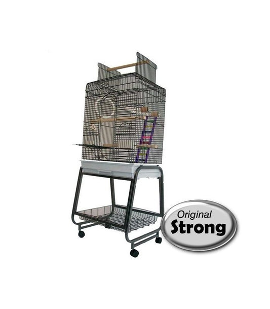 Papegaaienkooi Aurelia