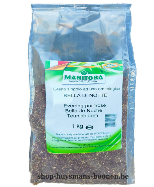 Teunisbloemzaad 1kg - Manitoba