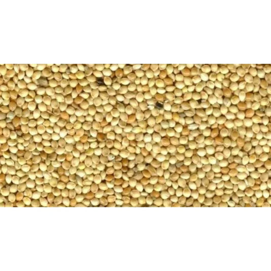 Geel Millet