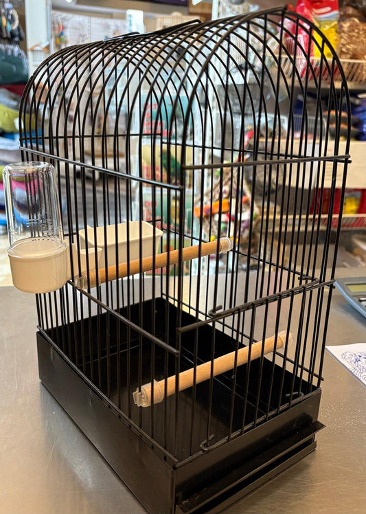 Show/York Kooi Zwart